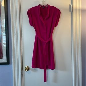 Fuschia Ann Taylor Petite Shirt Dress